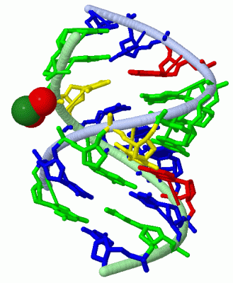 Image Asym./Biol. Unit - manually