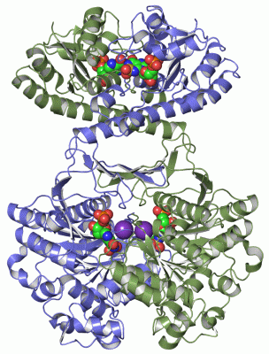 Image Asym./Biol. Unit - manually