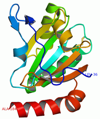 Image Asym./Biol. Unit - manually