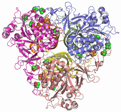 Image Asym./Biol. Unit - manually