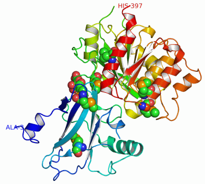 Image Asym./Biol. Unit - manually