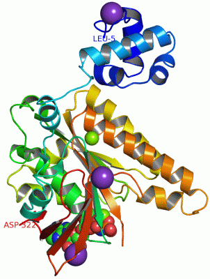 Image Asym./Biol. Unit - manually