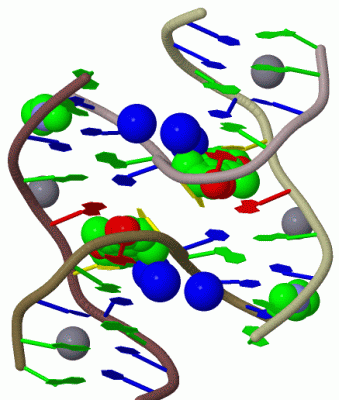 Image Biol.Unit 1 - manually