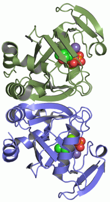 Image Asym./Biol. Unit - manually