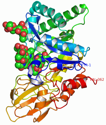 Image Asym./Biol. Unit - manually