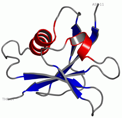 Image NMR Structure - manually