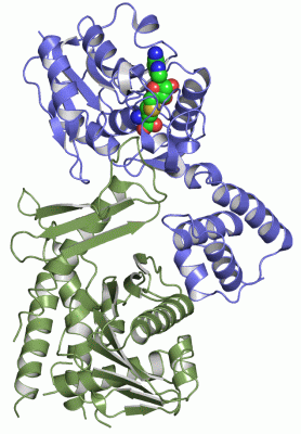 Image Asym./Biol. Unit - manually