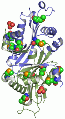 Image Asym./Biol. Unit - manually