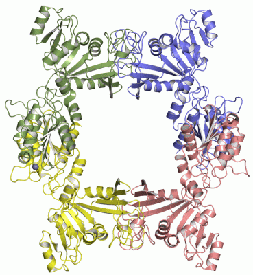 Image Asym./Biol. Unit - manually