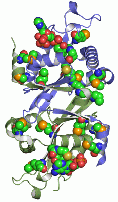 Image Asym./Biol. Unit - manually