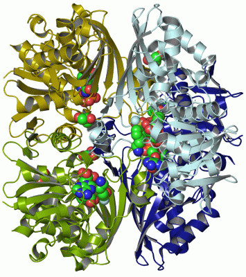 Image Asym./Biol. Unit - manually