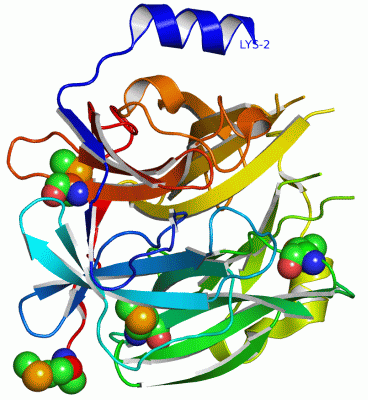 Image Asym./Biol. Unit - manually
