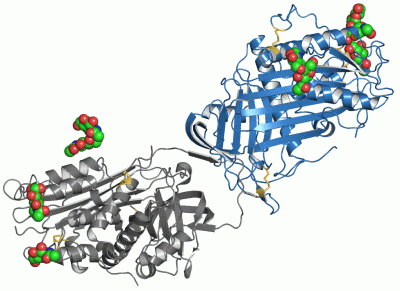 Image Asym./Biol. Unit - manually