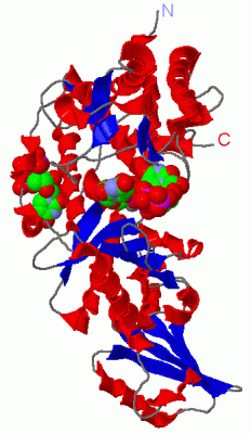 Image Asym./Biol. Unit - manually