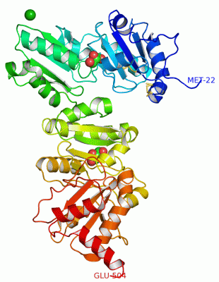 Image Asym./Biol. Unit - manually