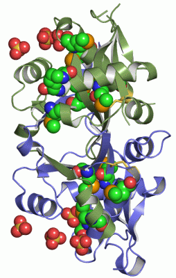 Image Asym./Biol. Unit - manually