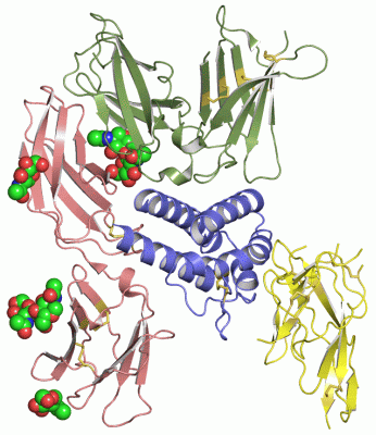 Image Asym./Biol. Unit - manually