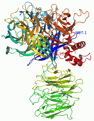 Image Asym./Biol. Unit - manually