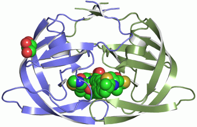 Image Asym./Biol. Unit - manually