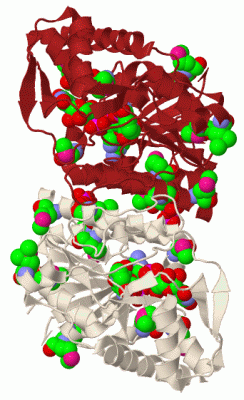 Image Biol.Unit 1 - manually