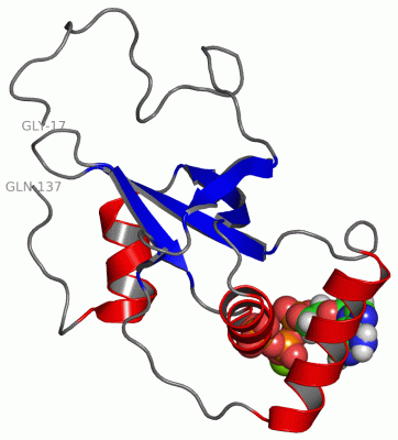 Image NMR Structure - manually