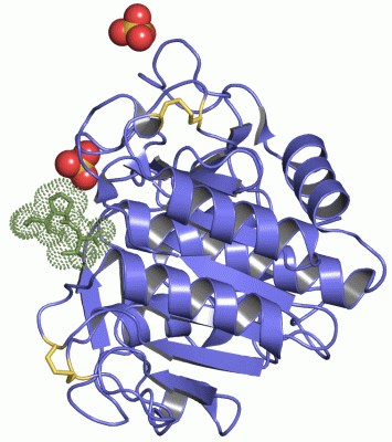 Image Asym./Biol. Unit - manually