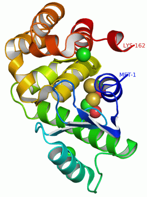 Image Asym./Biol. Unit - manually