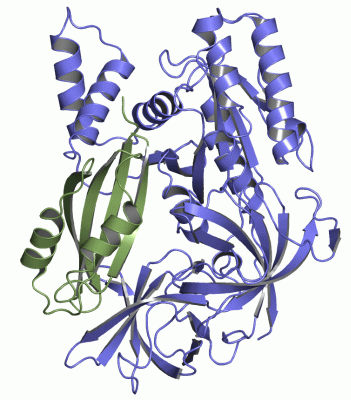 Image Asym./Biol. Unit - manually