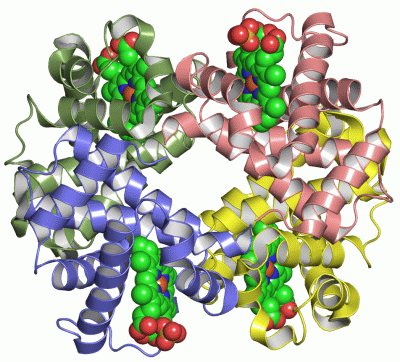 Image Asym./Biol. Unit - manually