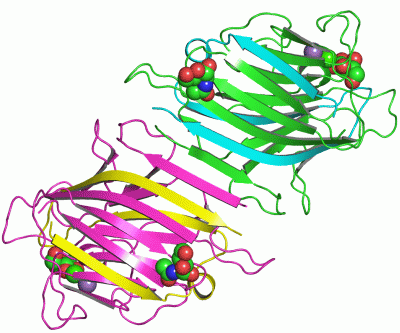 Image Asym./Biol. Unit - manually