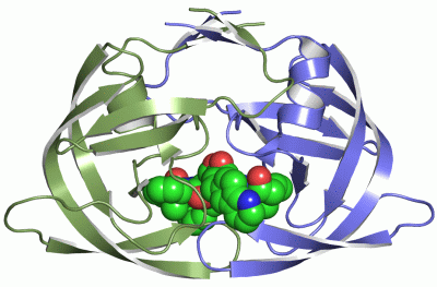 Image Asym./Biol. Unit - manually