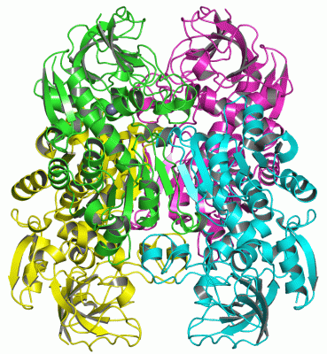 Image Asym./Biol. Unit - manually