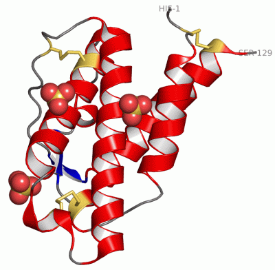 Image Asym./Biol. Unit - manually