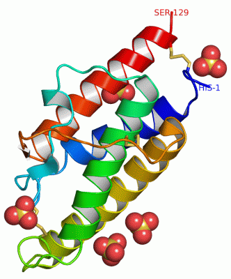 Image Asym./Biol. Unit - manually