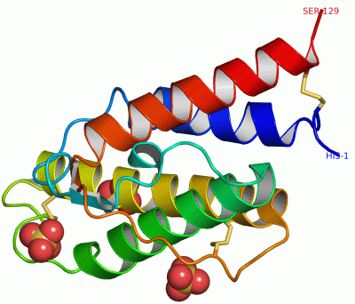 Image Asym./Biol. Unit - manually