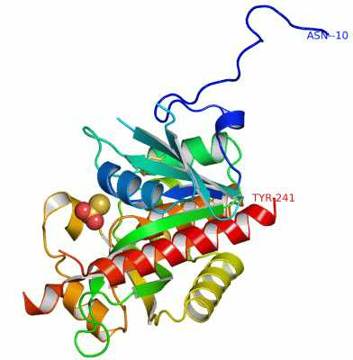Image Asym.Unit - manually