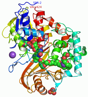 Image Asym./Biol. Unit - manually