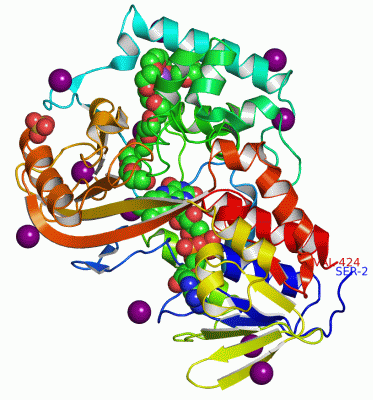 Image Asym./Biol. Unit - manually