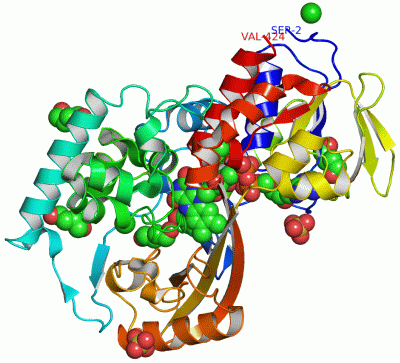 Image Asym./Biol. Unit - manually