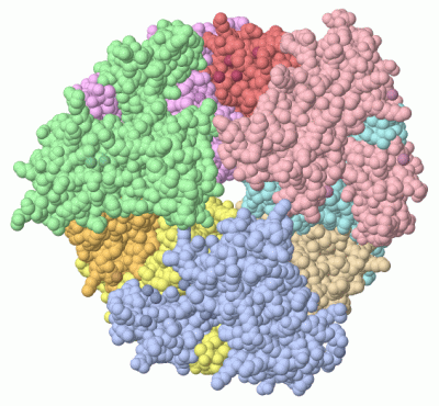 Image Asym./Biol. Unit - manually