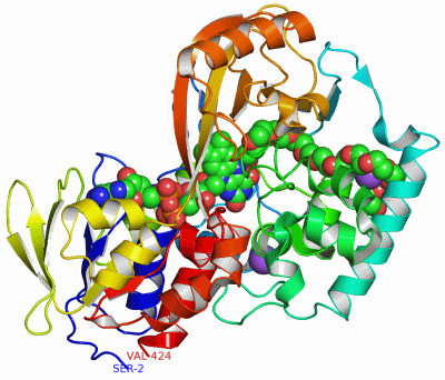 Image Asym./Biol. Unit - manually