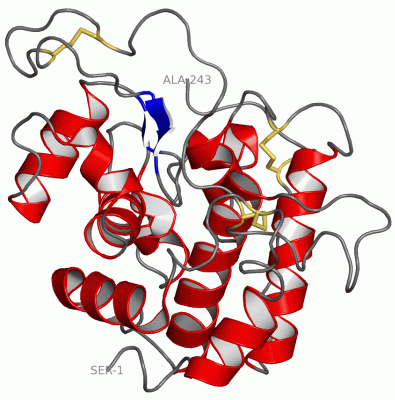 Image Asym./Biol. Unit - manually