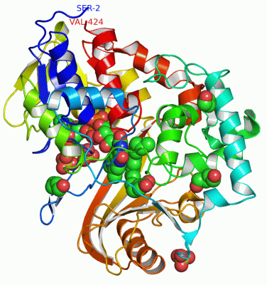 Image Asym./Biol. Unit - manually