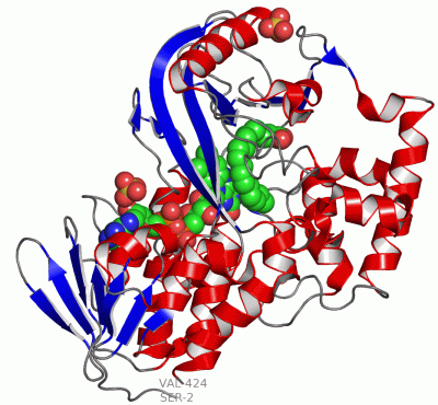 Image Asym./Biol. Unit - manually