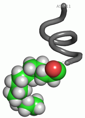 Image NMR Structure - manually