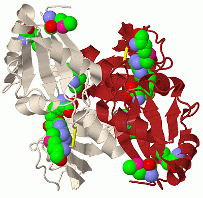 Image Biol.Unit 1 - manually