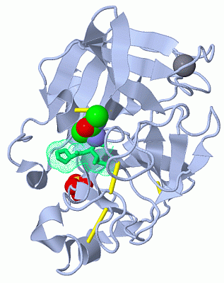 Image Asym./Biol. Unit - manually