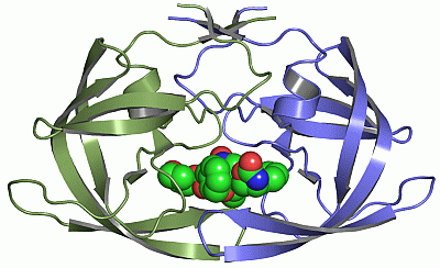 Image Asym./Biol. Unit - manually