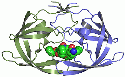 Image Asym./Biol. Unit - manually