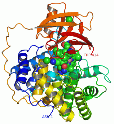 Image Asym./Biol. Unit - manually